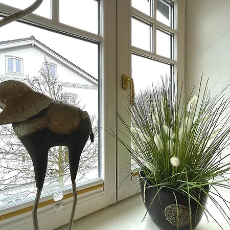 Apartment Suite-boysen-no-15 *